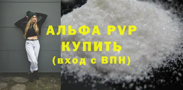 шишки Чегем