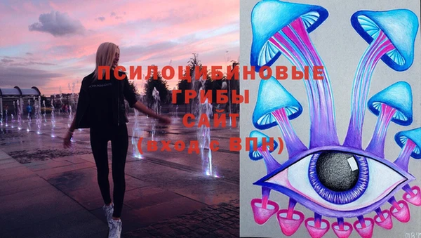 шишки Чегем