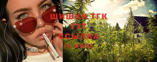 Альфа ПВП Дмитровск