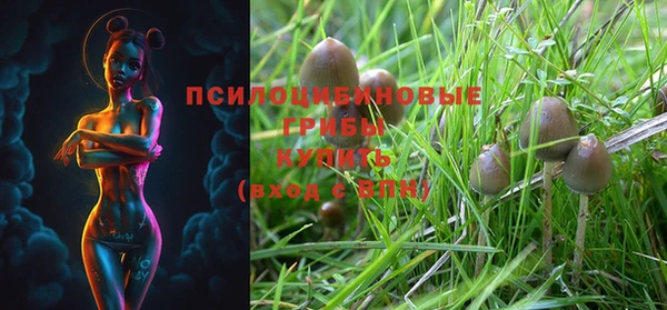 дурь Гусиноозёрск