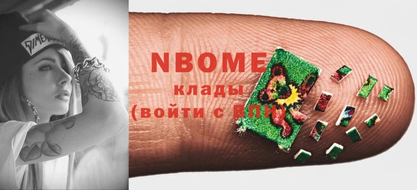 шишки Чегем