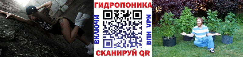 мега как войти  наркота  Демидов  Канабис марихуана 